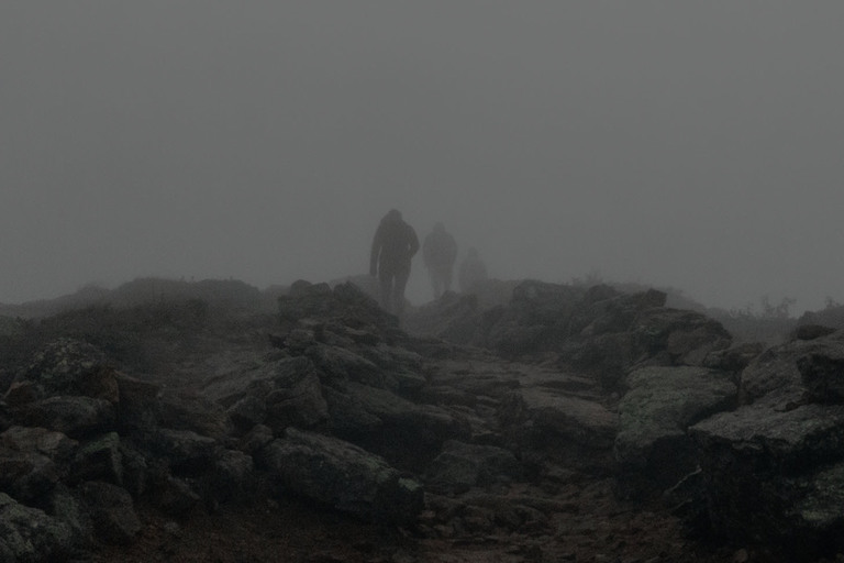 SiteHost Customer Profile: Haunt Digital