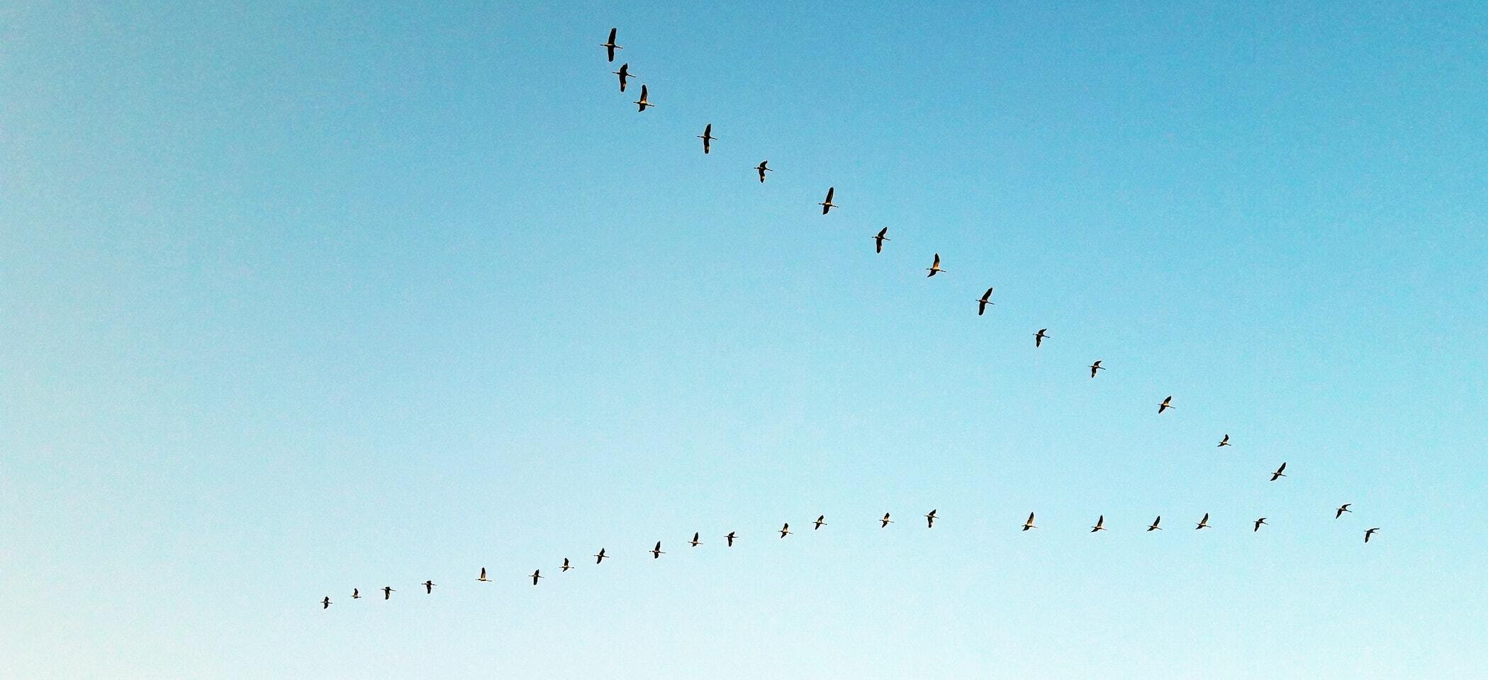 Crazy Domains buys Openhost - NZ hosting industry