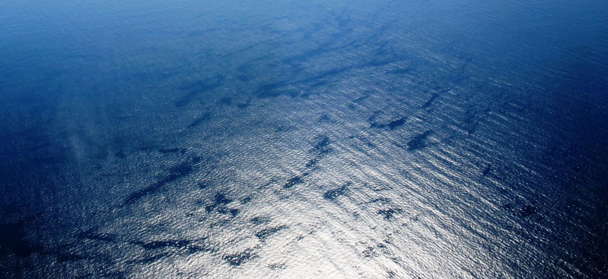 SiteHost Customer Profile: Sunny Side Up