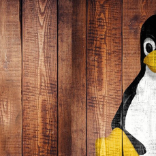 Linux pengiun.
